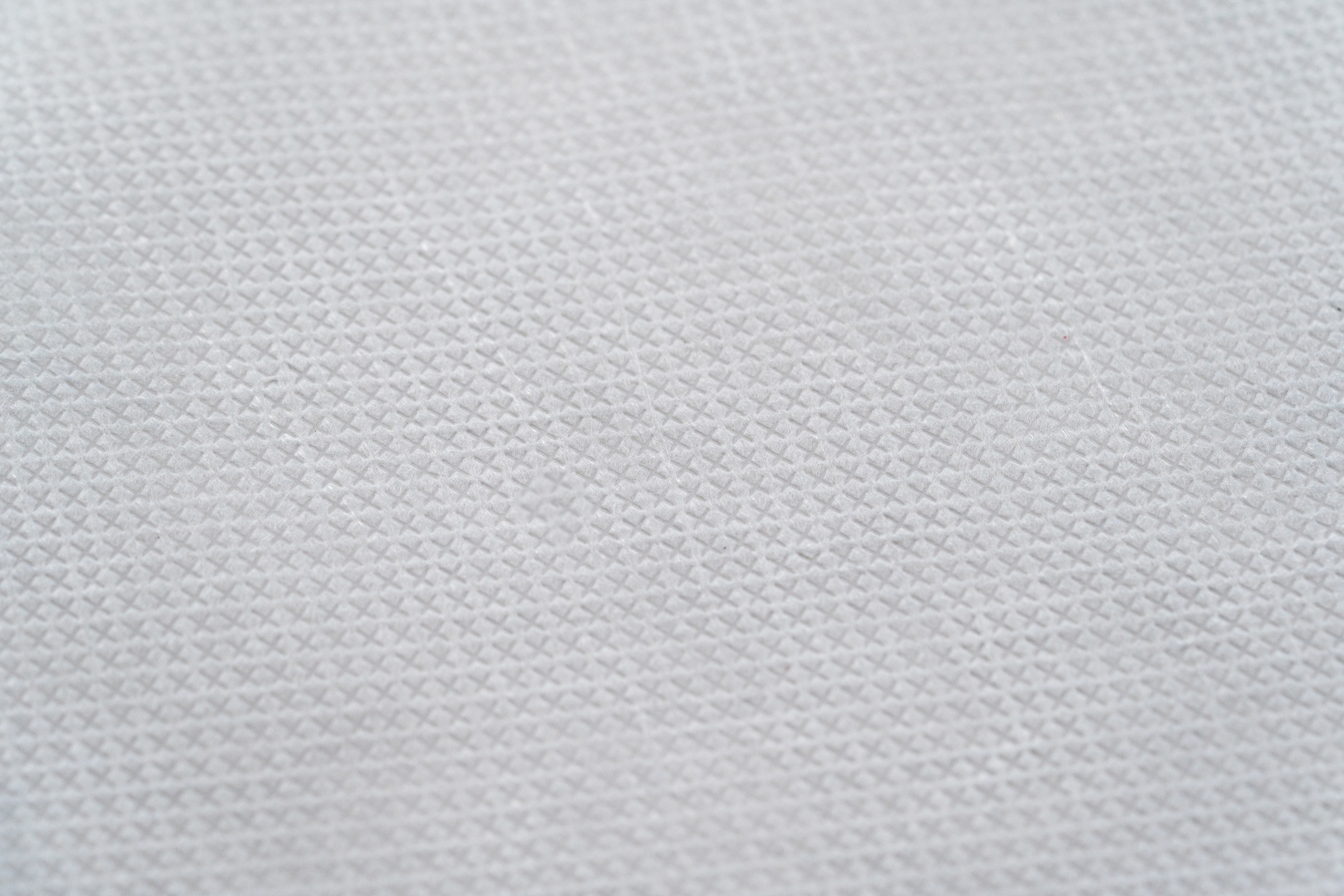 尼龍紡黏不織布 (100% Nylon Spunbond Fabric) - 寢具家具用紡黏不織布 (For Bedding & Furniture)
